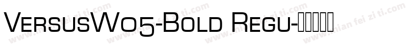 VersusW05-Bold Regu字体转换